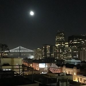 Meet your Posher, Shaun